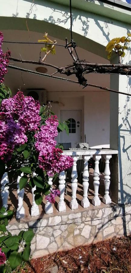 Olivera Apartments Pula Exterior photo